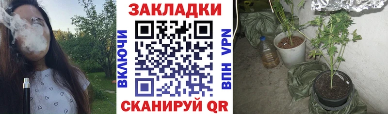 Как найти закладки Болохово СОЛЬ LSD-25 Конопля АМФЕТАМИН