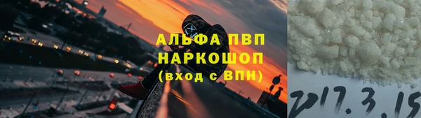 ГАЛЛЮЦИНОГЕННЫЕ ГРИБЫ Баксан