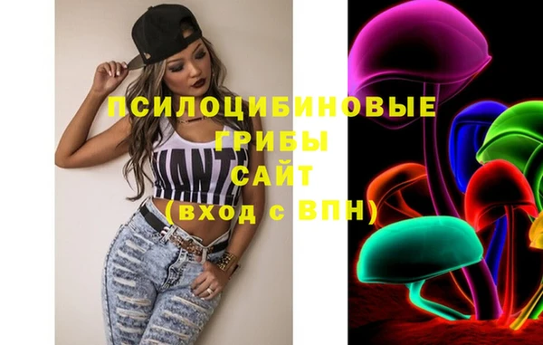 ПСИЛОЦИБИНОВЫЕ ГРИБЫ Белокуриха
