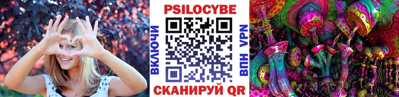 как найти закладки  Болохово  Псилоцибиновые грибы Magic Shrooms 